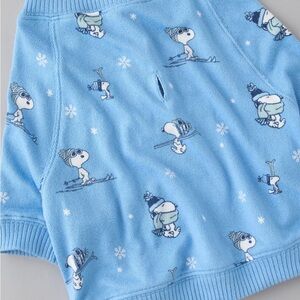 AEO dog sweater Blue Snoopy Skiing Sweater
